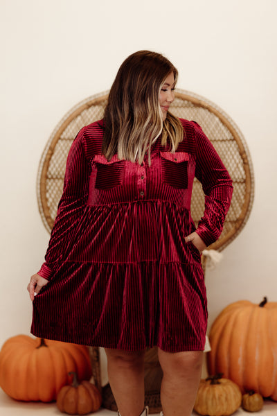 Berry Velvet Textured Collared Button Down Dress