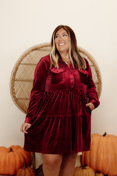 Berry Velvet Textured Collared Button Down Dress