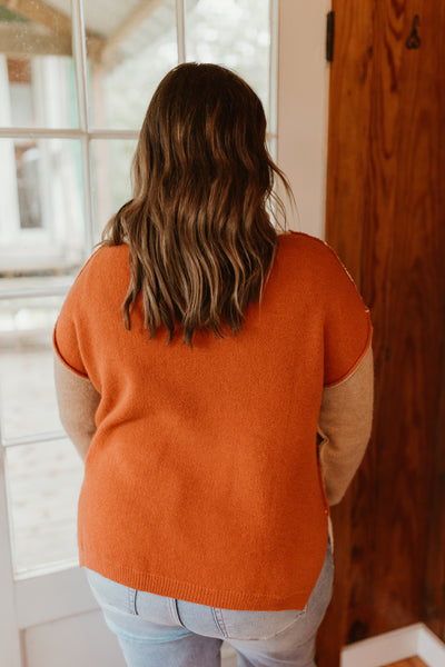 Ivory/Mocha/Rust Turtleneck Oversized Sweater