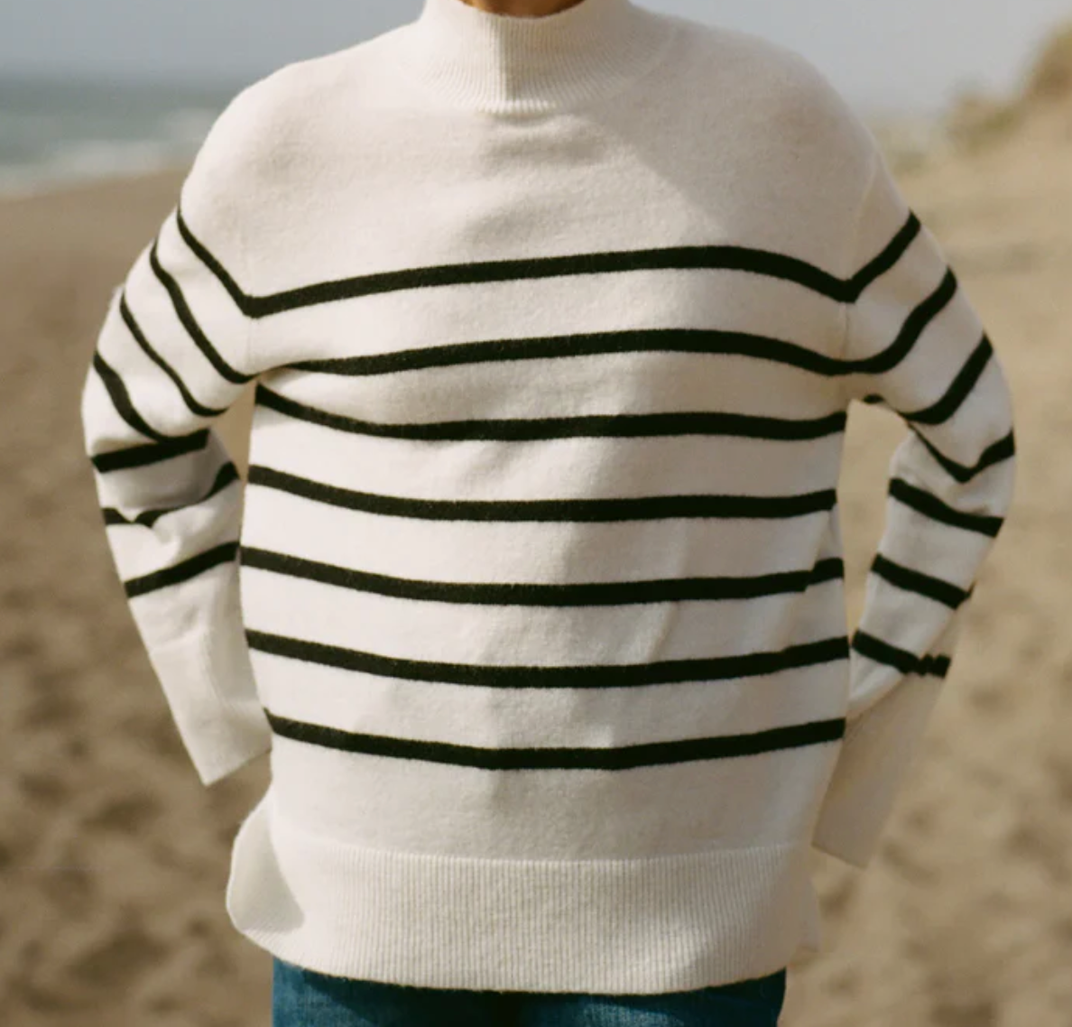 Z Supply Fin Stripe Turtleneck Sweater- Sea Salt